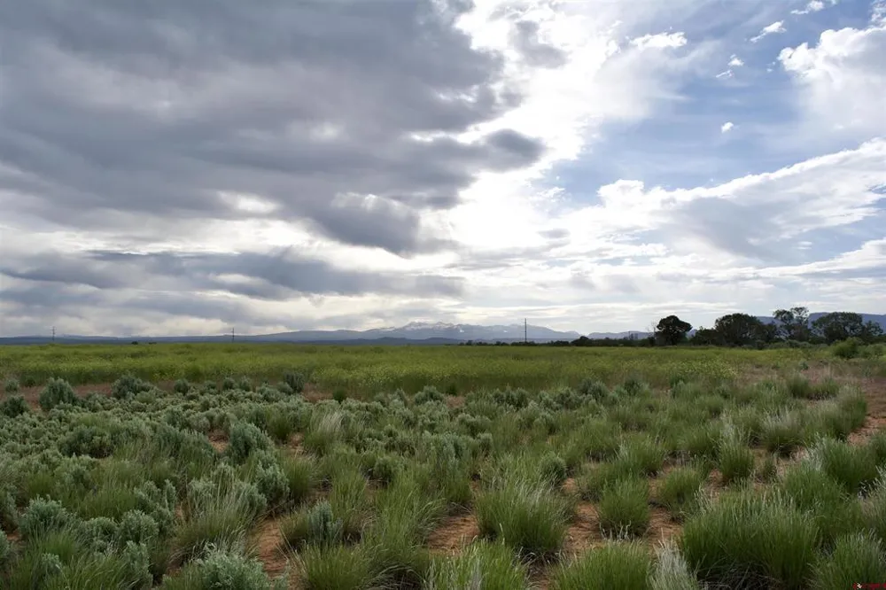 1 Road 24.3 Cortez, CO 81321