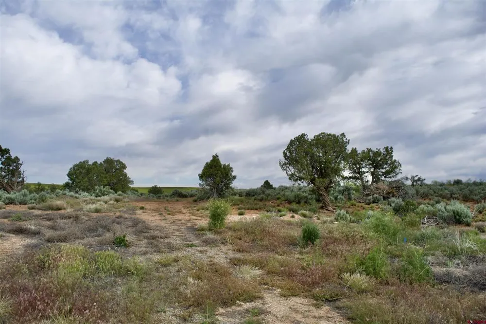 2 Road 24.3 Cortez, CO 81321