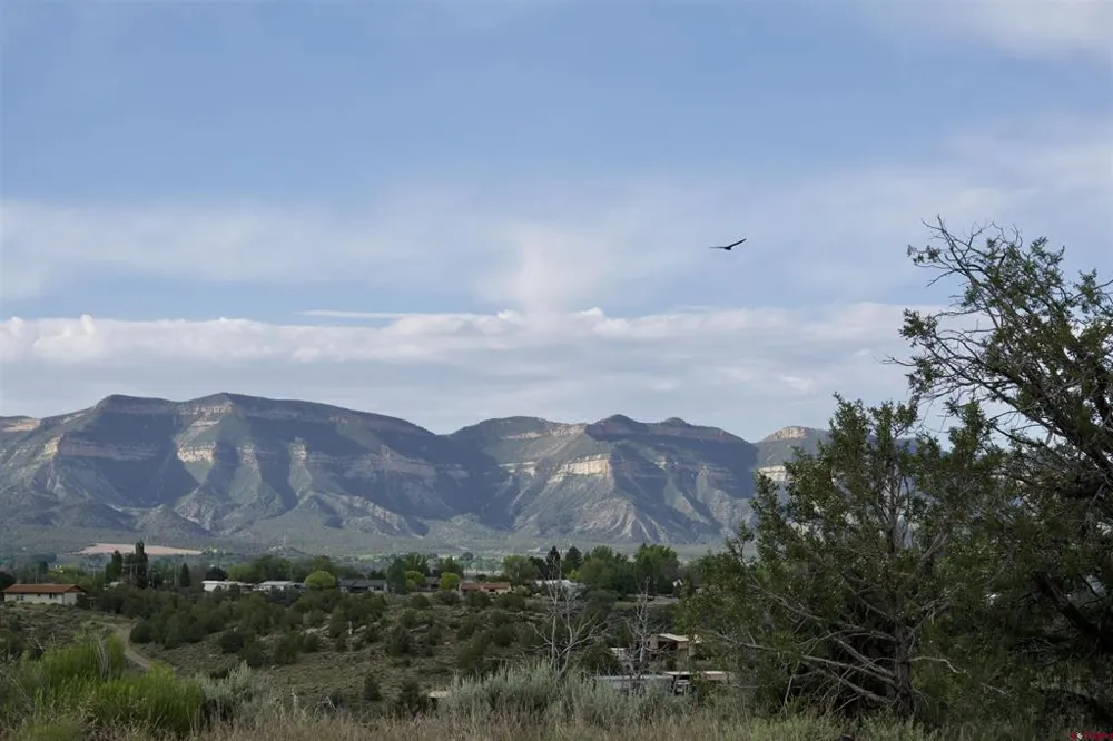 2 Road 24.3 Cortez, CO 81321
