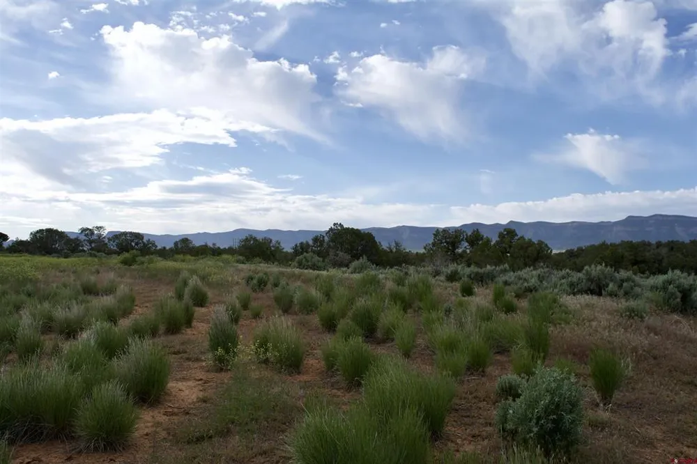 7 Road K.3 Cortez, CO 81321