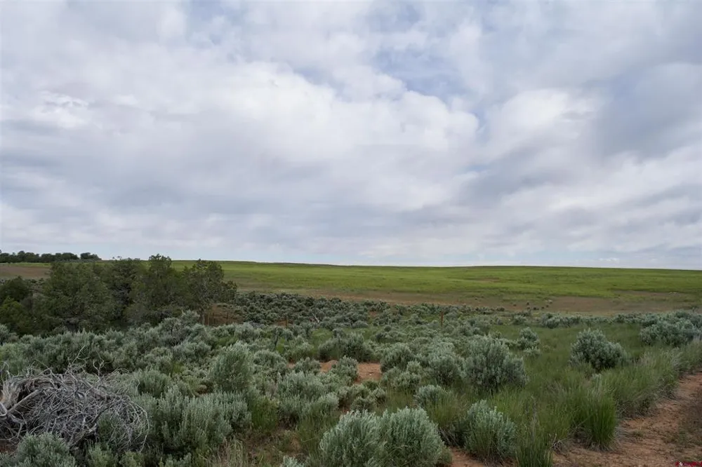 7 Road K.3 Cortez, CO 81321