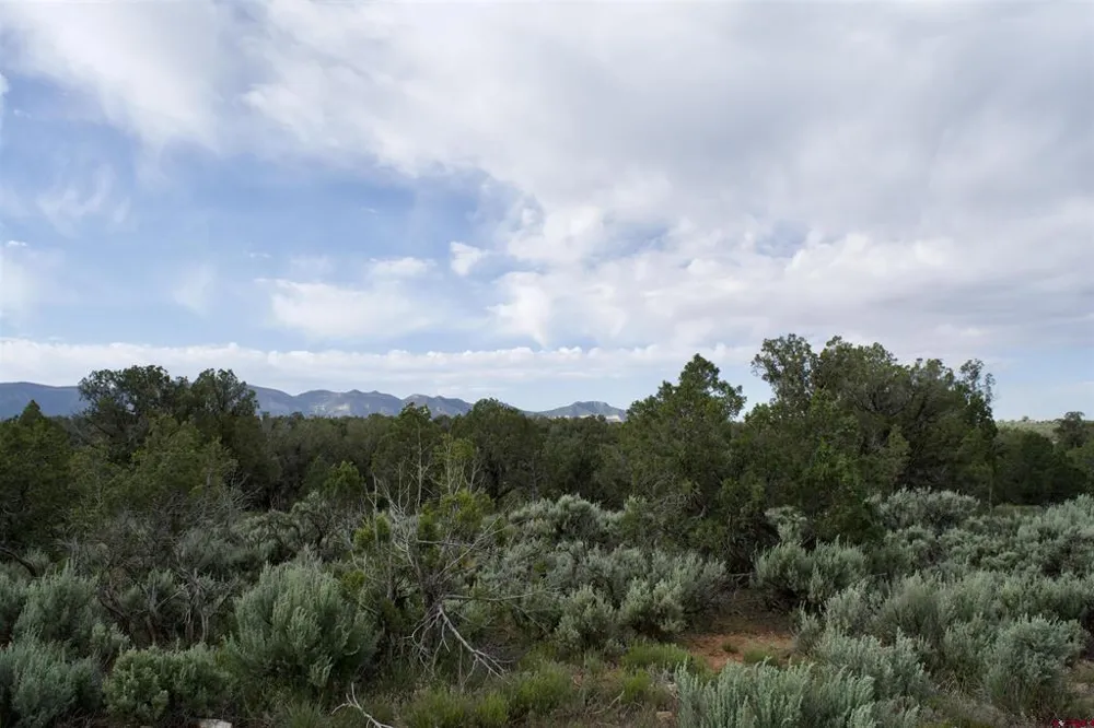 6 Road 24.3 Cortez, CO 81321