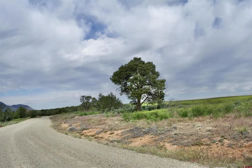 6 Road 24.3 Cortez, CO 81321