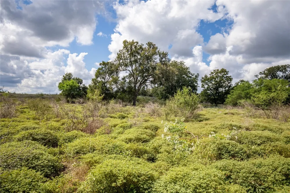 FM 766 Cuero, TX 77954