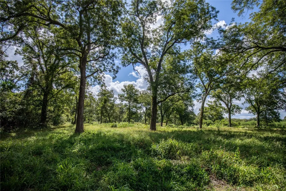 FM 766 Cuero, TX 77954