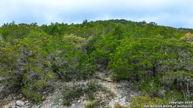LOT 13 Wild Canyon Ranch Phase 1 Rocksprings, TX 78880
