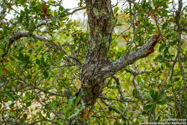 LOT 13 Wild Canyon Ranch Phase 1 Rocksprings, TX 78880