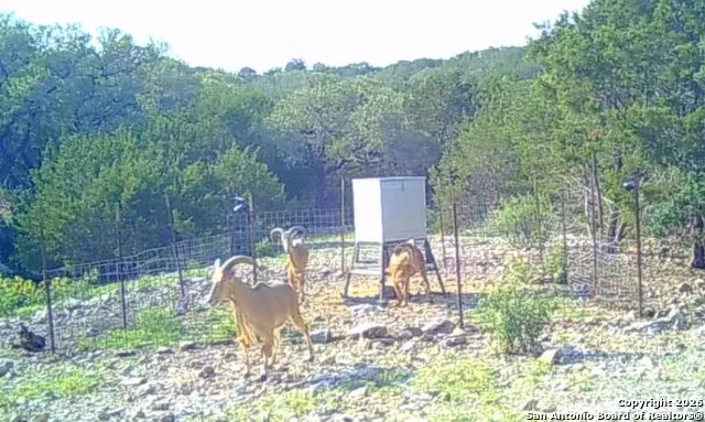 LOT 13 Wild Canyon Ranch Phase 1 Rocksprings, TX 78880