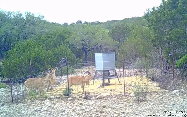 LOT 13 Wild Canyon Ranch Phase 1 Rocksprings, TX 78880
