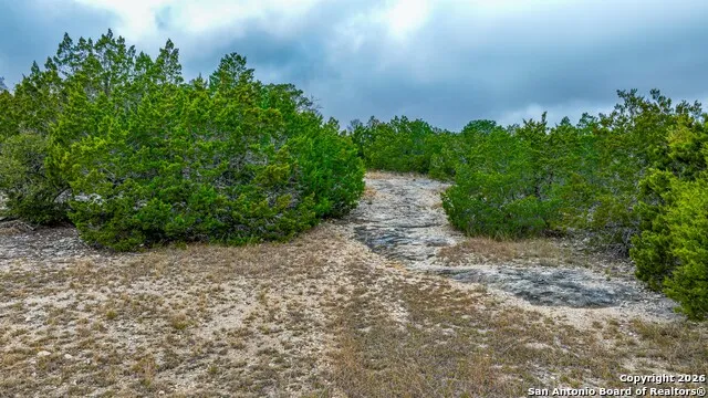 LOT 13 Wild Canyon Ranch Phase 1 Rocksprings, TX 78880