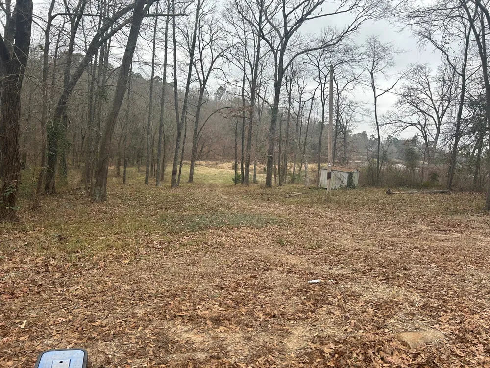 7 Sandy Lake Scroggins, TX 75480