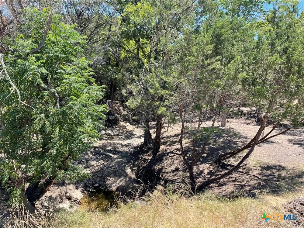 County Road 1320 Lampasas, TX 76550