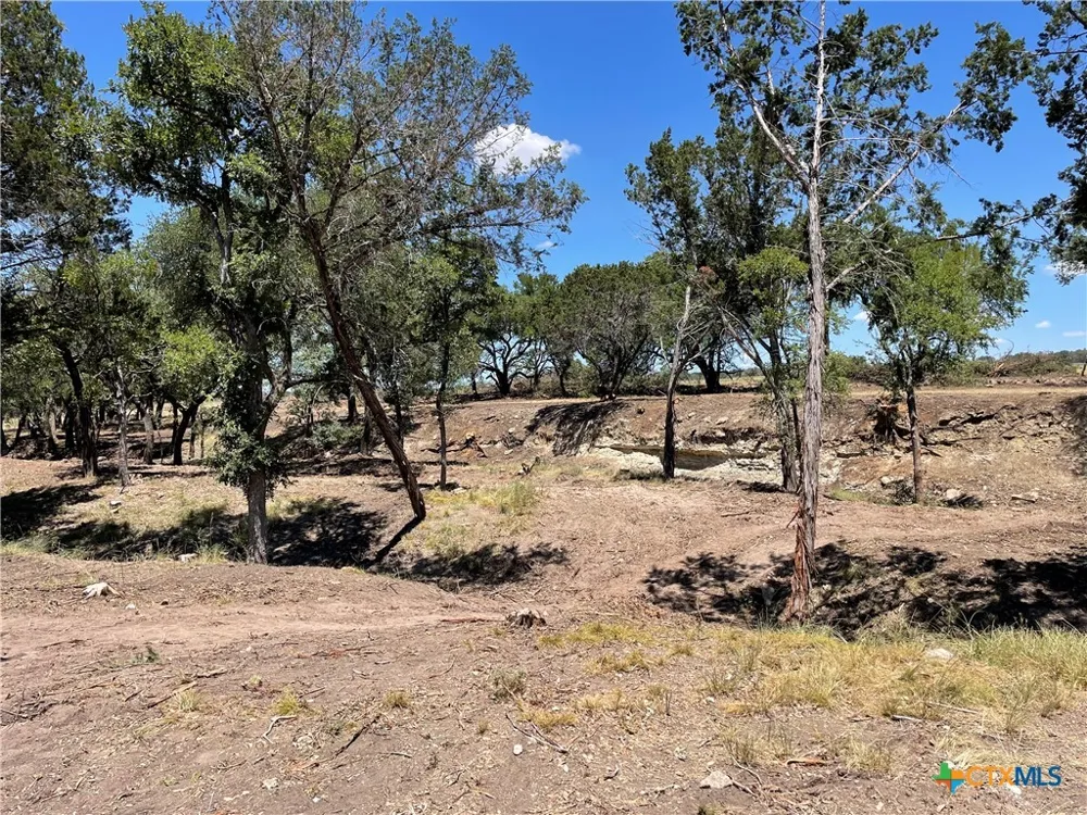 County Road 1320 Lampasas, TX 76550