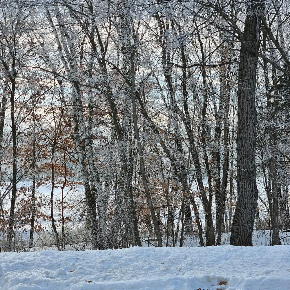 Lot 8, Block 3 2 1/2 Ave NE Saint Stephen, MN 56375
