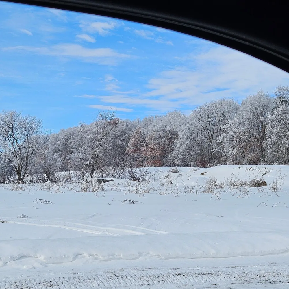 Lot 8, Block 3 2 1/2 Ave NE Saint Stephen, MN 56375