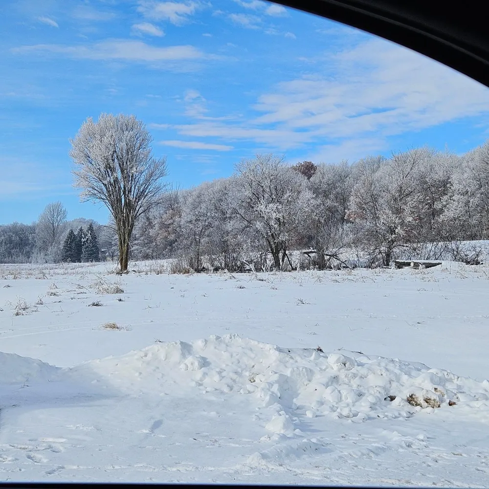 Lot 8, Block 3 2 1/2 Ave NE Saint Stephen, MN 56375