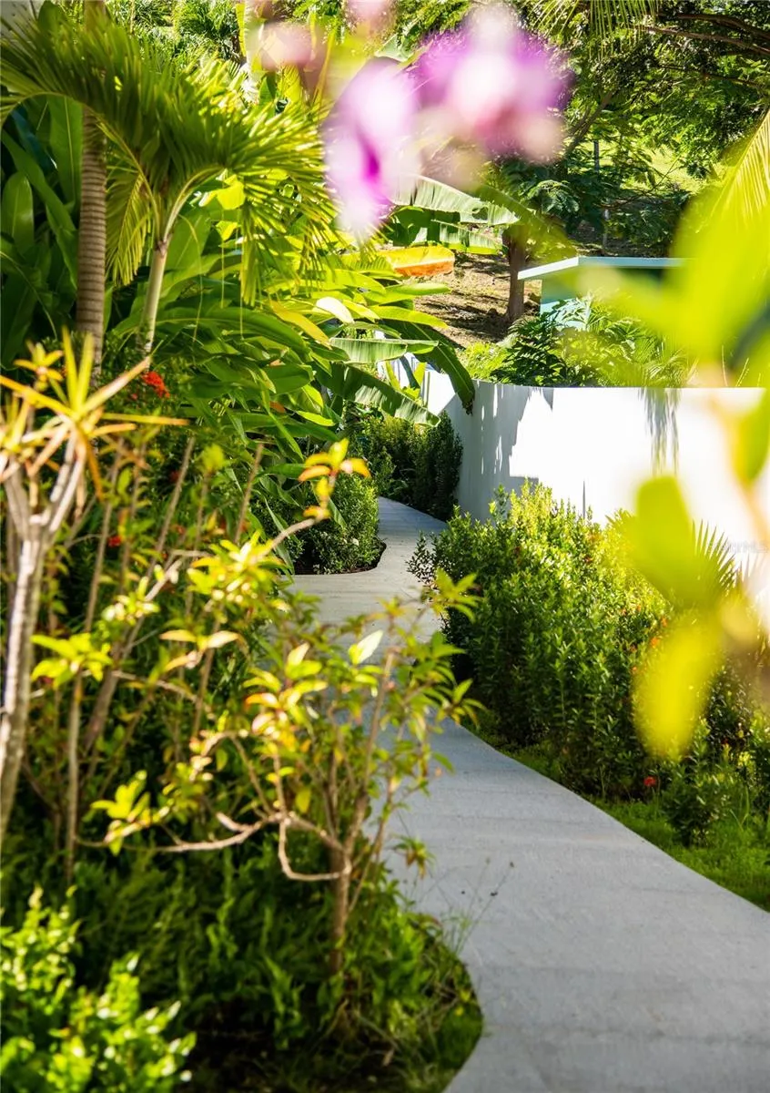 300 PALM COTTAGES Vieques, PR 00765