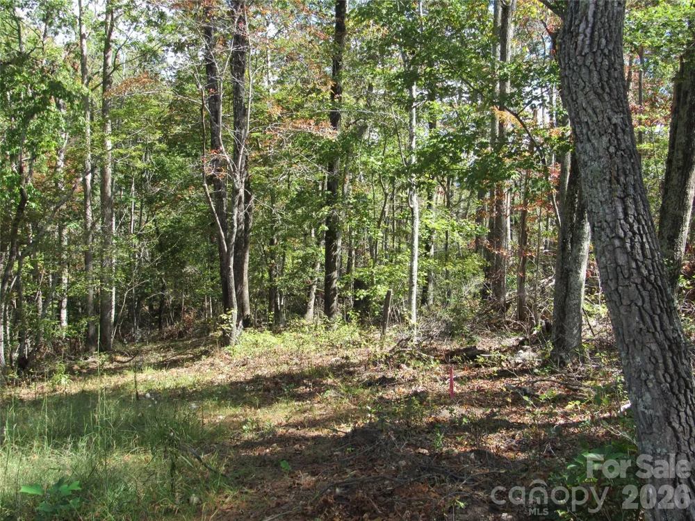 150 Summers Way Marion, NC 28752