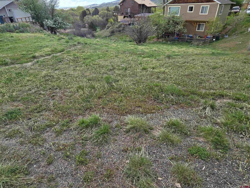 36 Box Elder Drive Paonia, CO 81428