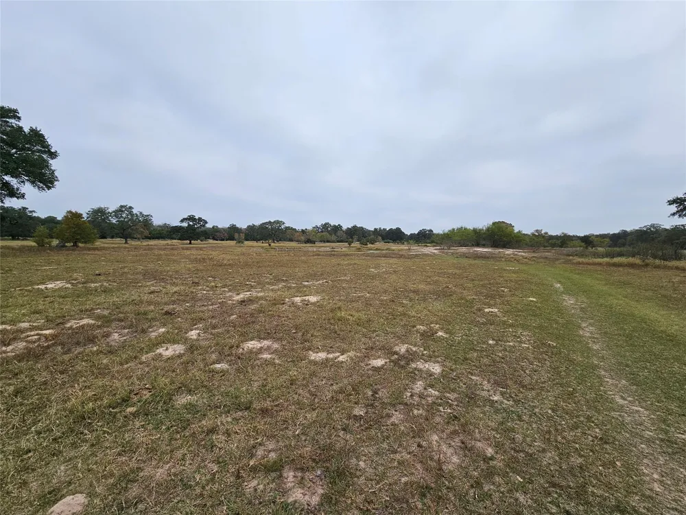 Schultz Columbus, TX 78934