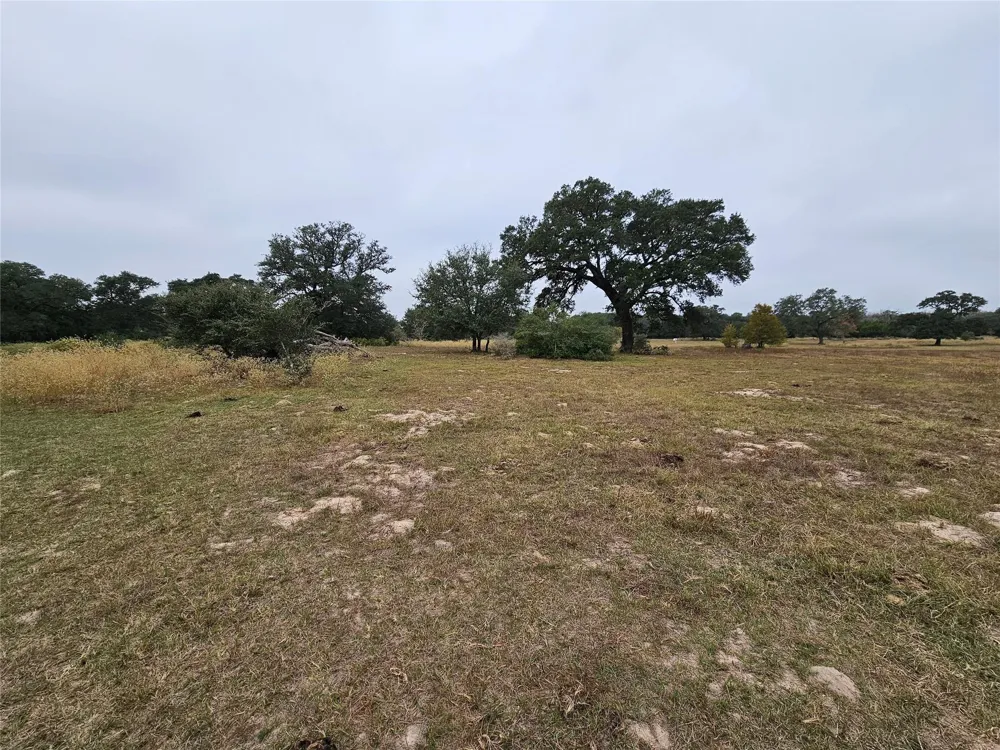 Schultz Columbus, TX 78934