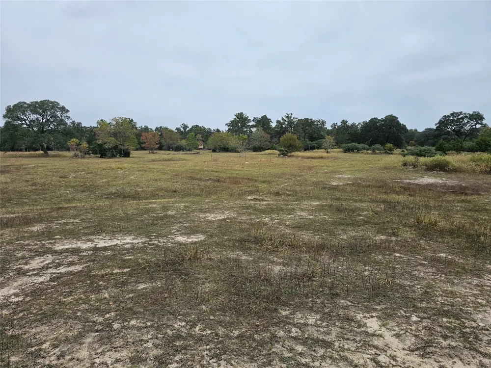 Schultz Columbus, TX 78934