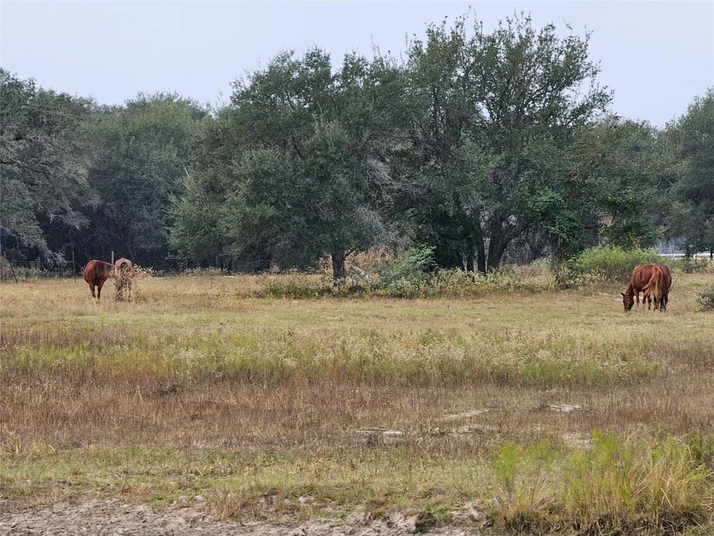 Schultz Columbus, TX 78934