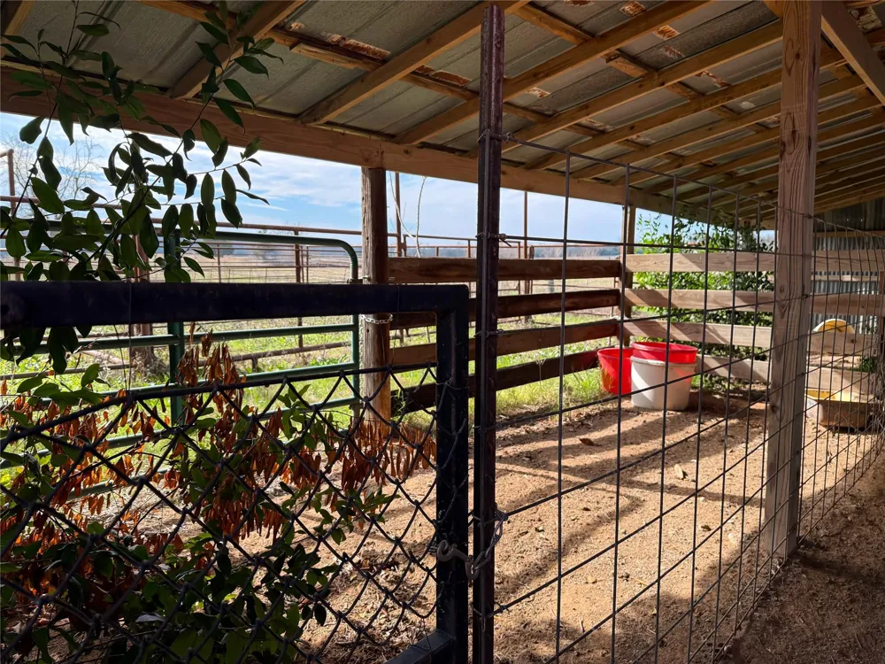 14119 Fm 1512 Jewett, TX 75846