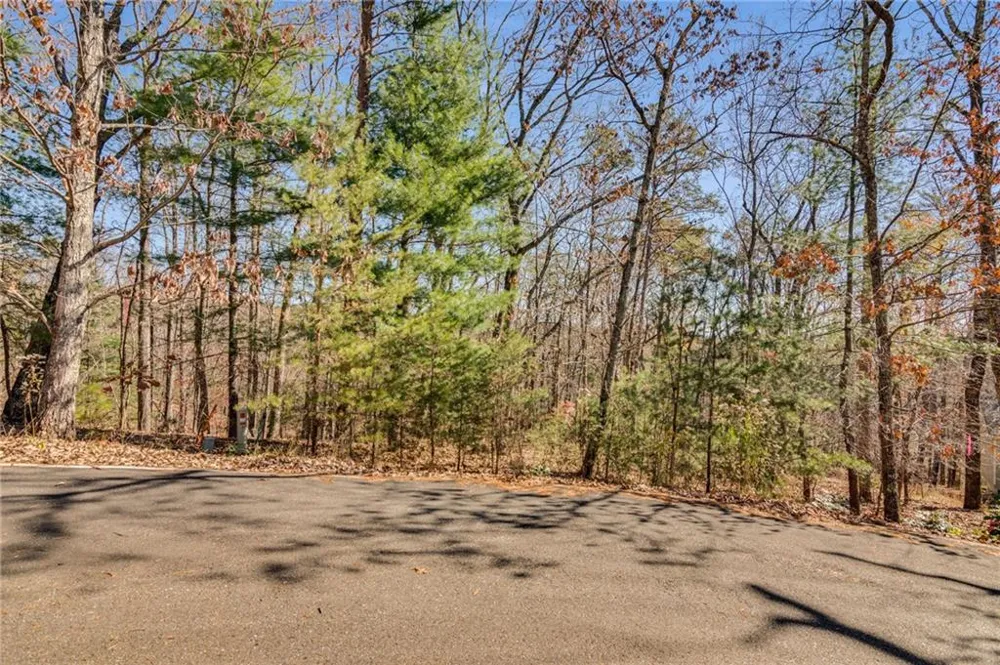 3356 Bee Balm Way Big Canoe, GA 30143