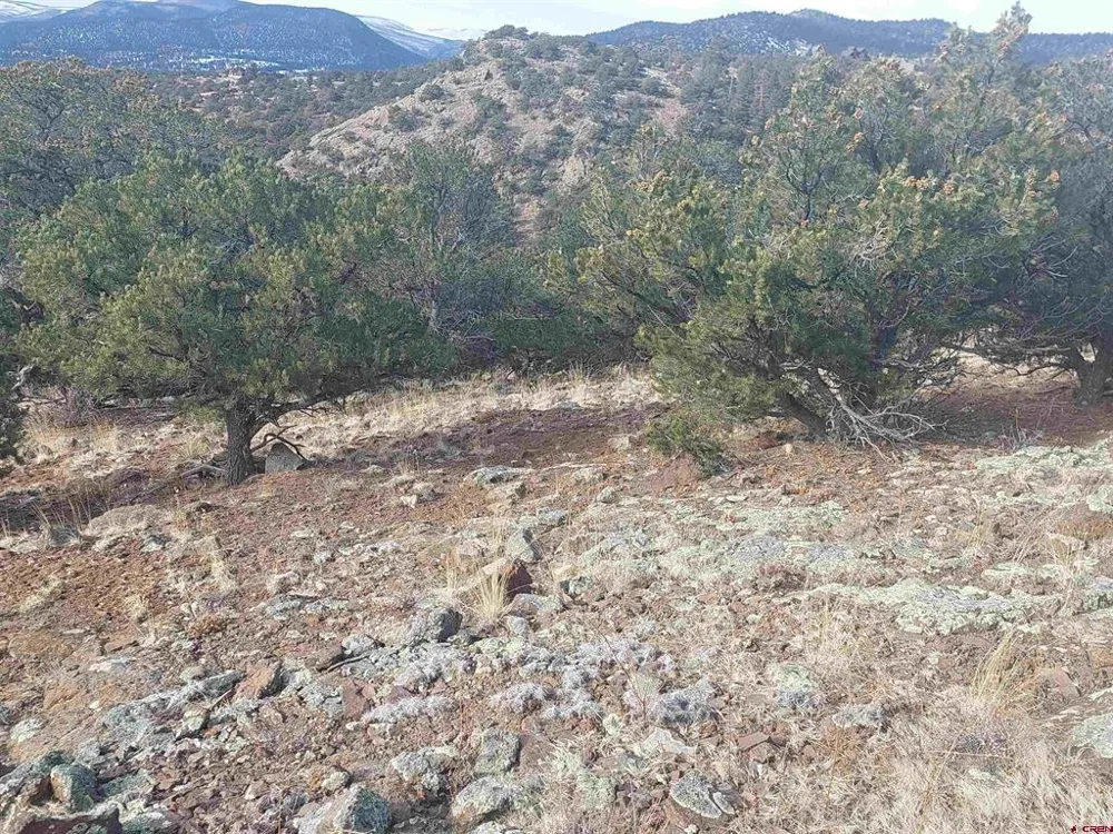 119 Cactus Road South Fork, CO 81154