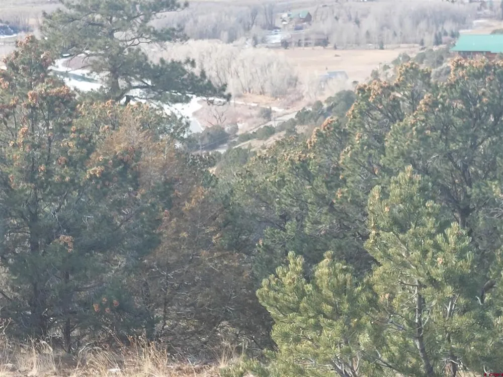 119 Cactus Road South Fork, CO 81154