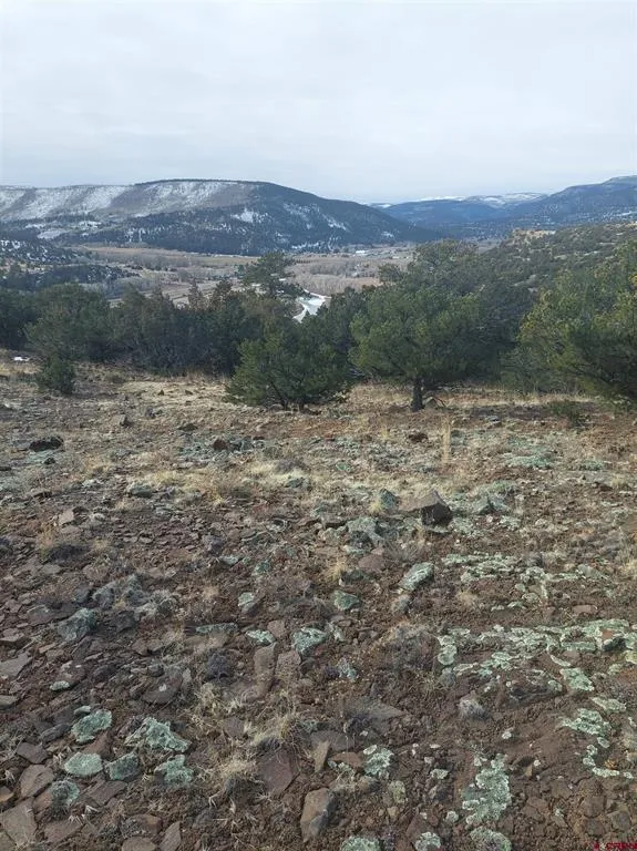 119 Cactus Road South Fork, CO 81154