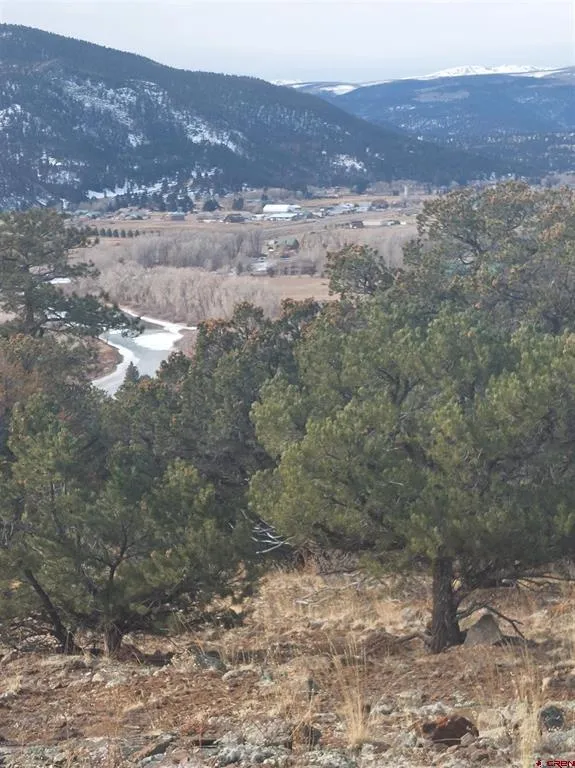 119 Cactus Road South Fork, CO 81154