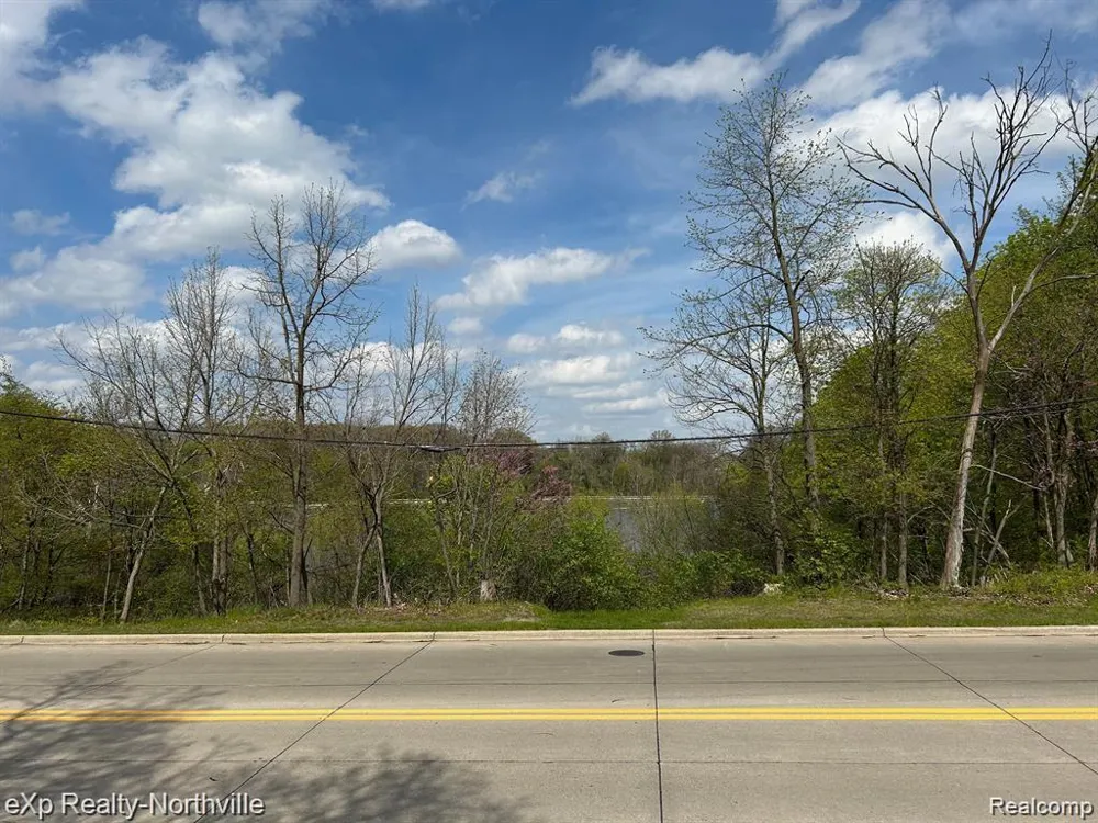 1103 MILL STREET Plymouth City, MI 48170