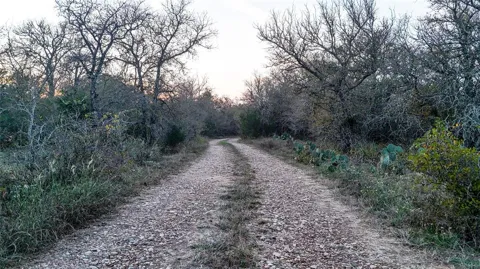 137 Shady Oaks Loop