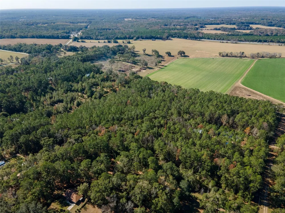 TBD COUNTY RD 1491 Alachua, FL 32615