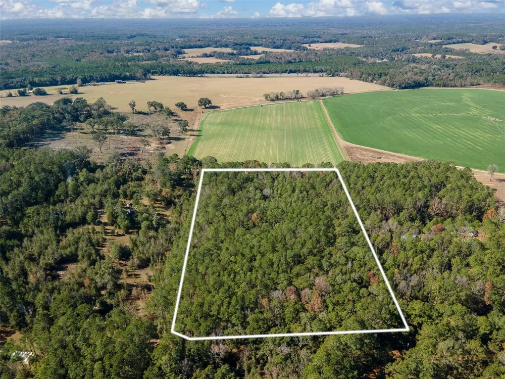 TBD COUNTY RD 1491 Alachua, FL 32615