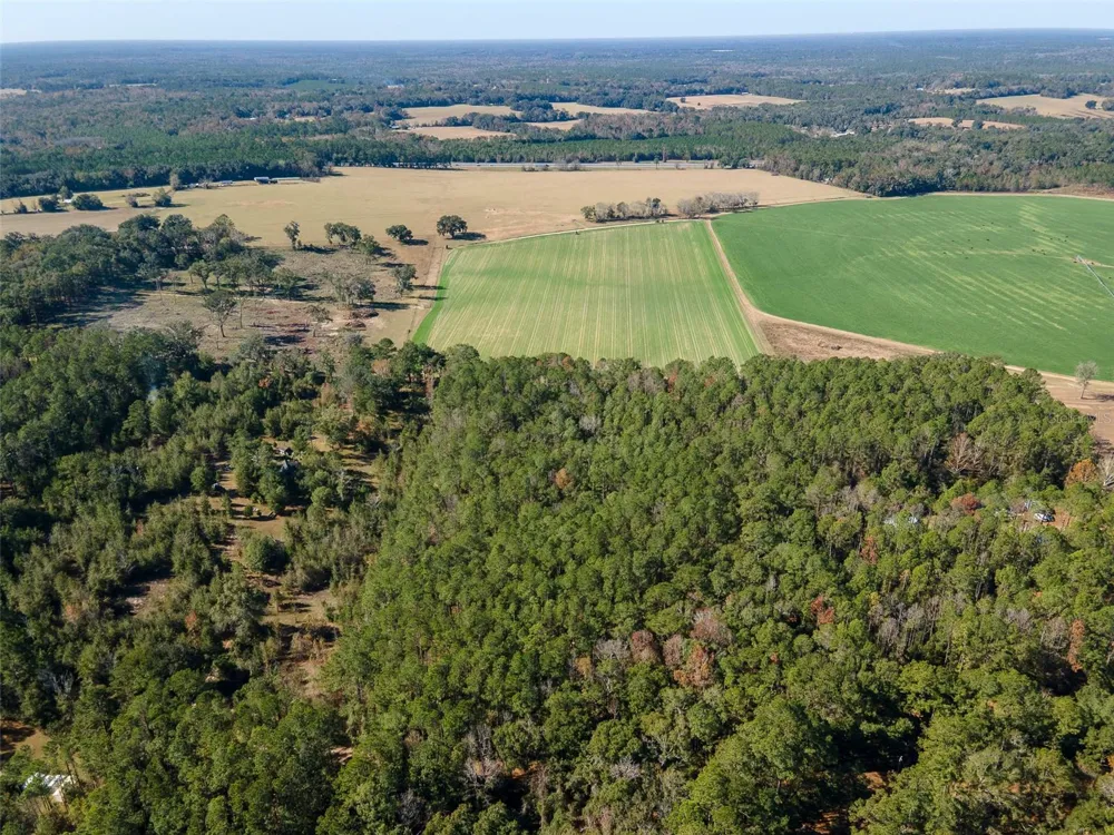 TBD COUNTY RD 1491 Alachua, FL 32615