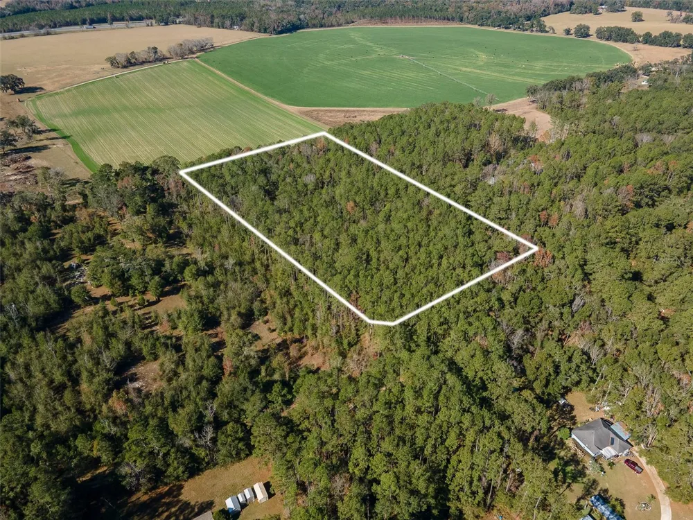 TBD COUNTY RD 1491 Alachua, FL 32615