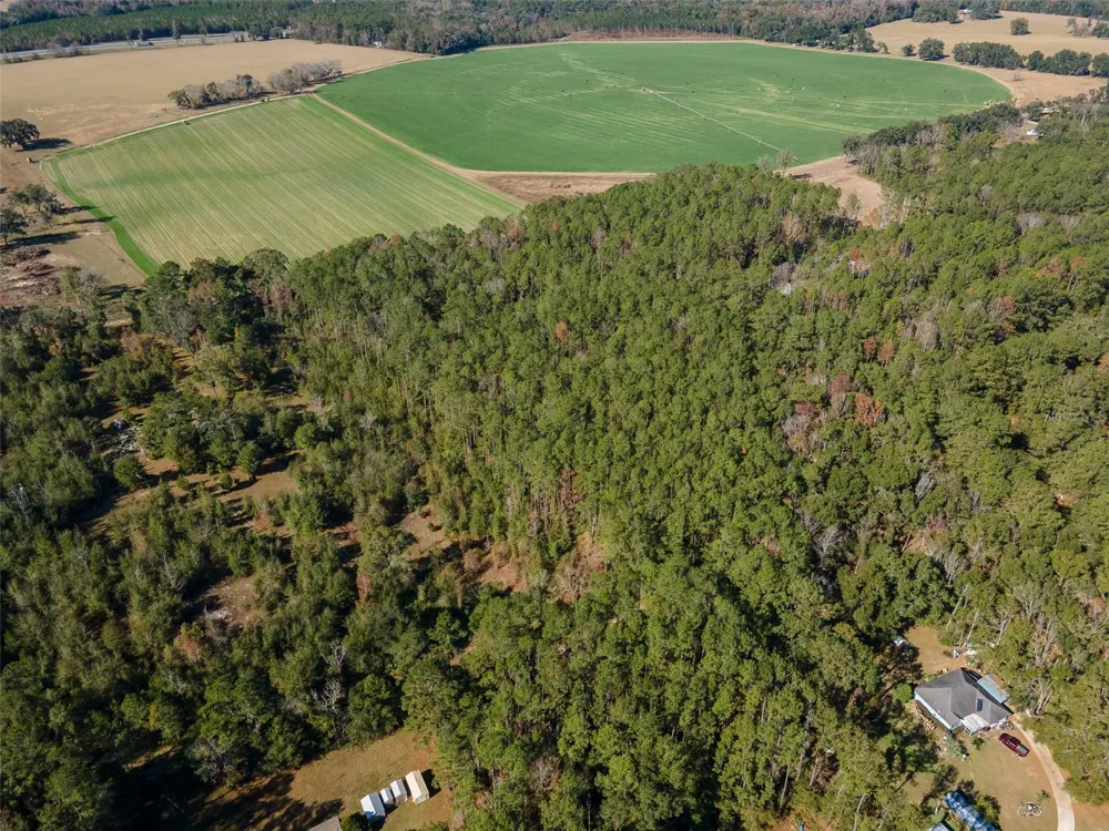 TBD COUNTY RD 1491 Alachua, FL 32615