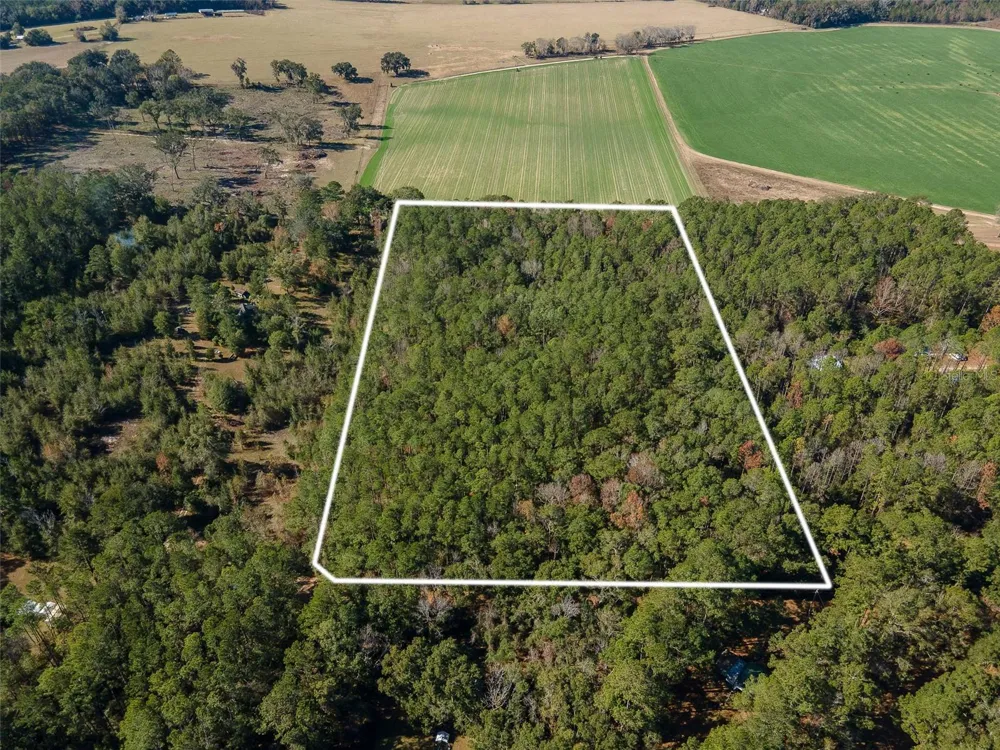 TBD COUNTY RD 1491 Alachua, FL 32615