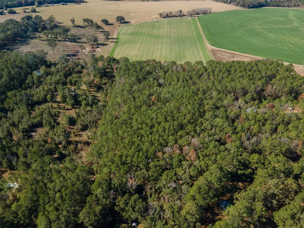 TBD COUNTY RD 1491 Alachua, FL 32615