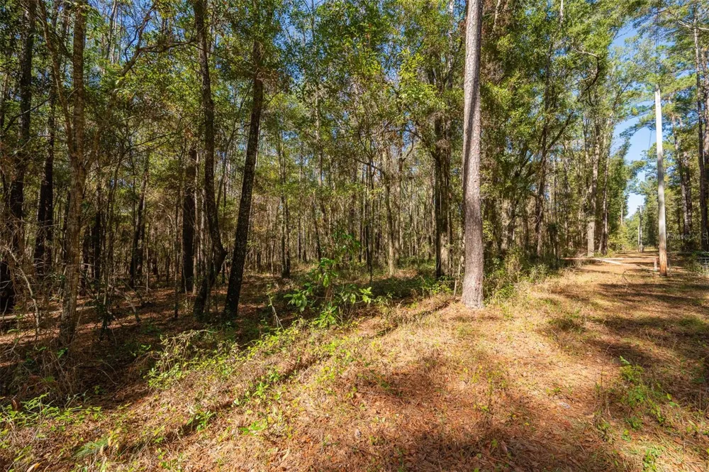 TBD COUNTY RD 1491 Alachua, FL 32615