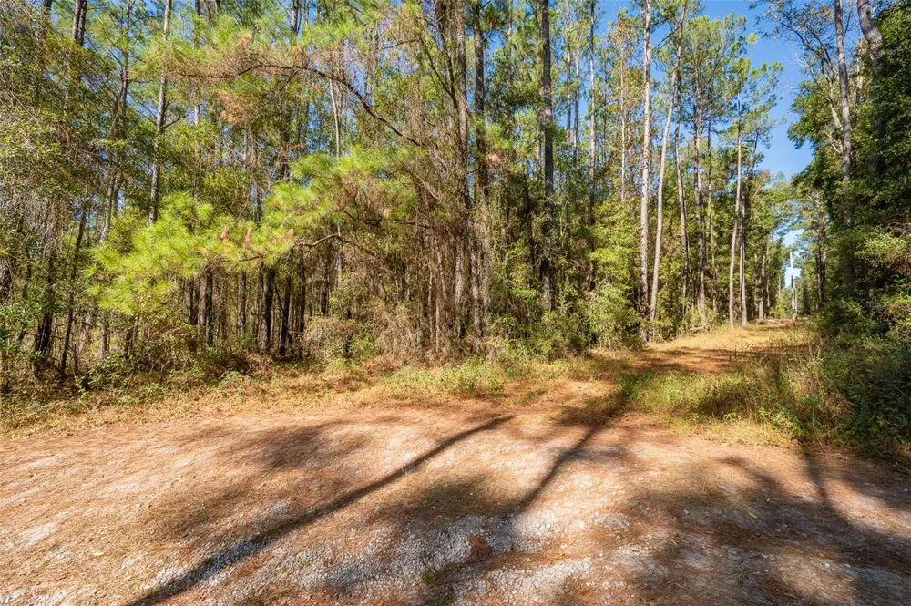 TBD COUNTY RD 1491 Alachua, FL 32615