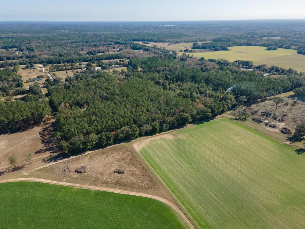 TBD COUNTY RD 1491 Alachua, FL 32615