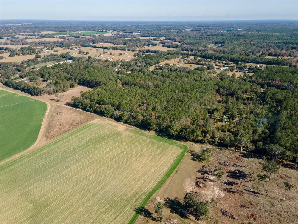 TBD COUNTY RD 1491 Alachua, FL 32615