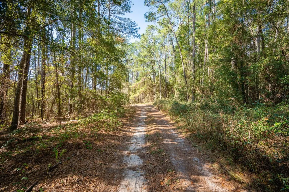 TBD COUNTY RD 1491 Alachua, FL 32615