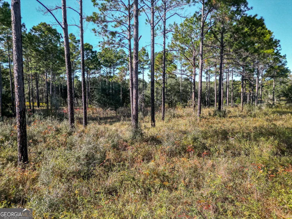 0 New York RD Leesburg, GA 31763