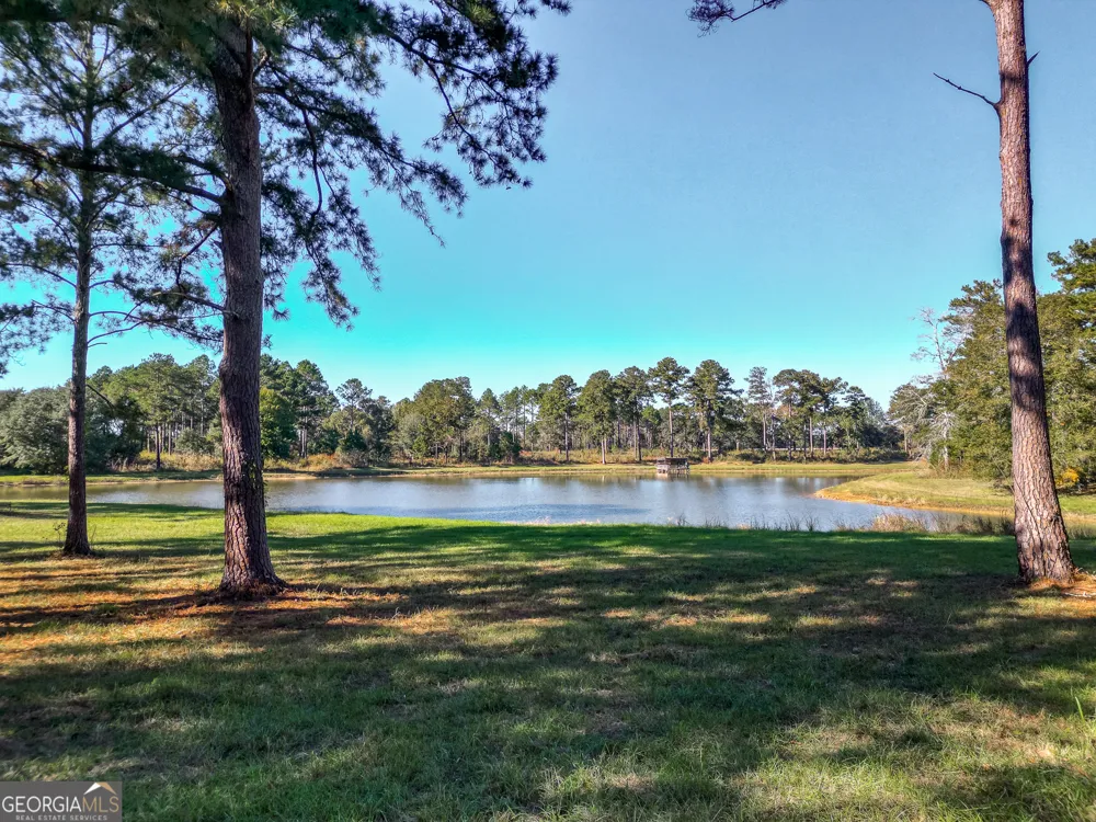 0 New York RD Leesburg, GA 31763