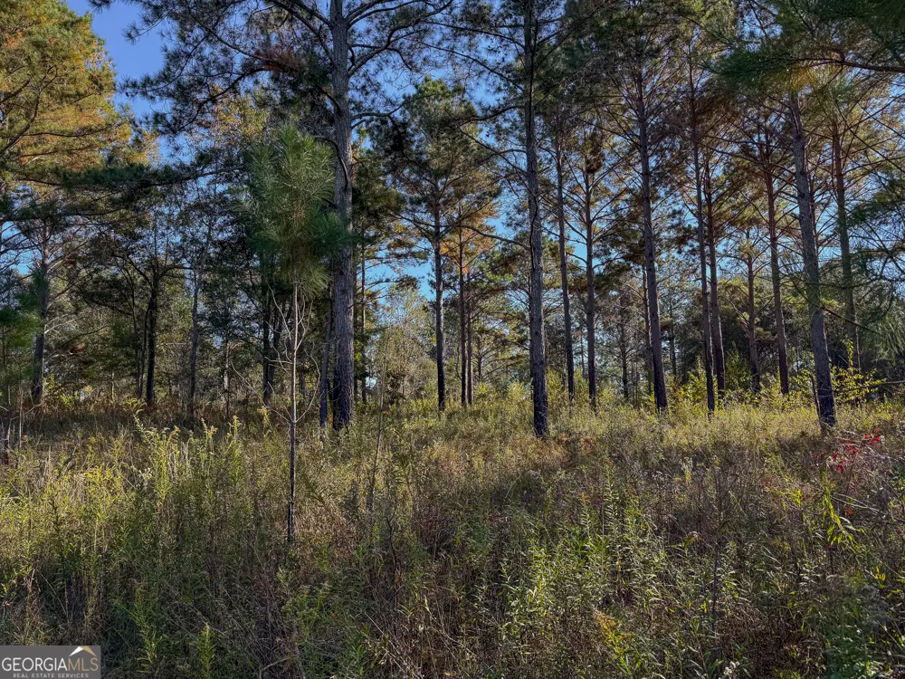 0 New York RD Leesburg, GA 31763